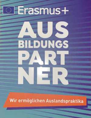 Auslandspraktika